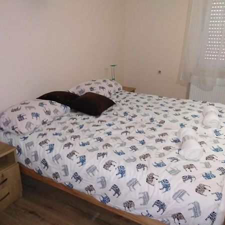 Evelin Sobe Apartment Backa Topola Bagian luar foto