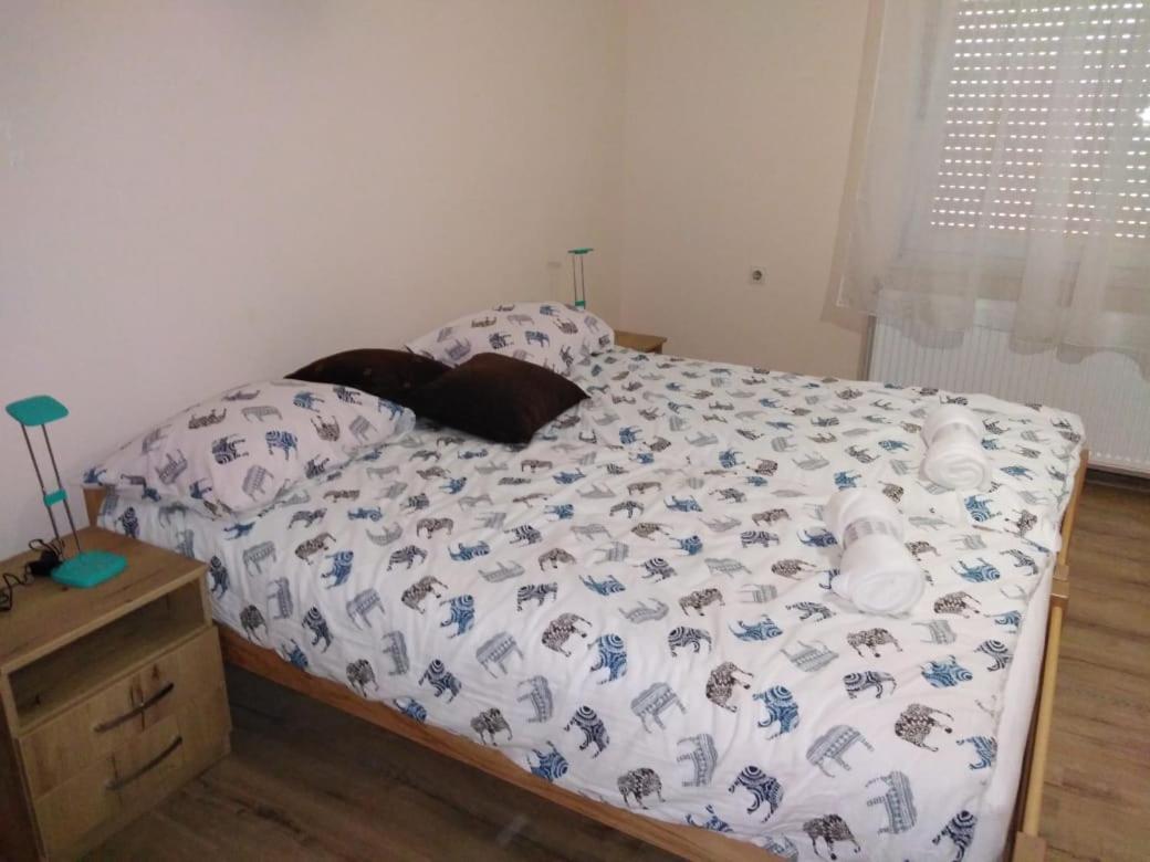 Evelin Sobe Apartment Backa Topola Bagian luar foto