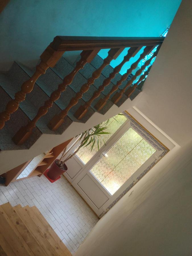 Evelin Sobe Apartment Backa Topola Bagian luar foto